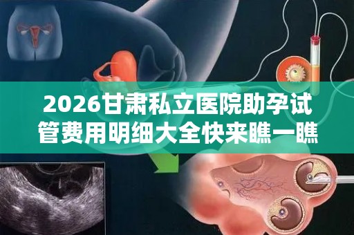 2026甘肃私立医院助孕试管费用明细大全快来瞧一瞧