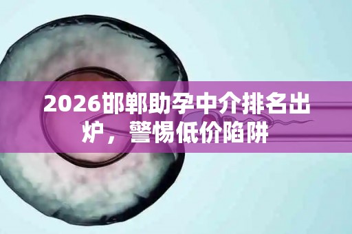 2026邯郸助孕中介排名出炉，警惕低价陷阱