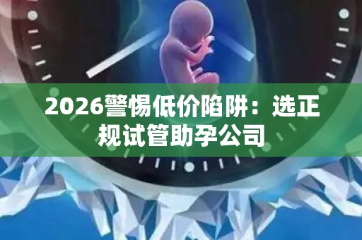 2026警惕低价陷阱：选正规试管助孕公司