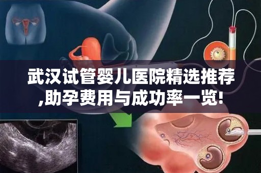 武汉试管婴儿医院精选推荐,助孕费用与成功率一览!