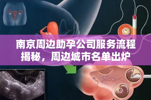 南京周边助孕公司服务流程揭秘，周边城市名单出炉