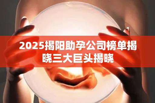 2025揭阳助孕公司榜单揭晓三大巨头揭晓