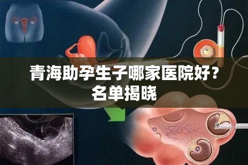 青海助孕生子哪家医院好？名单揭晓