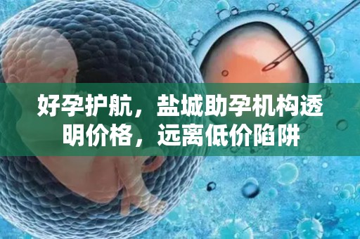 好孕护航，盐城助孕机构透明价格，远离低价陷阱