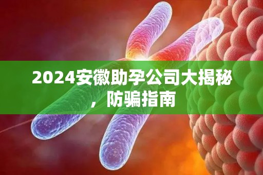 2024安徽助孕公司大揭秘，防骗指南