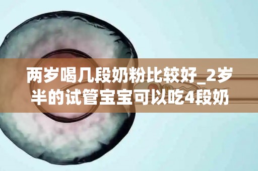 两岁喝几段奶粉比较好_2岁半的试管宝宝可以吃4段奶粉吗_试管文章