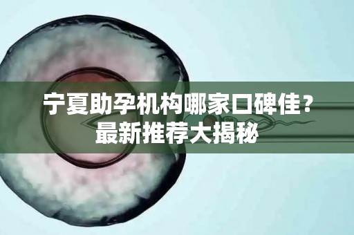 宁夏助孕机构哪家口碑佳？最新推荐大揭秘