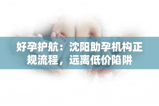 好孕护航：沈阳助孕机构正规流程，远离低价陷阱