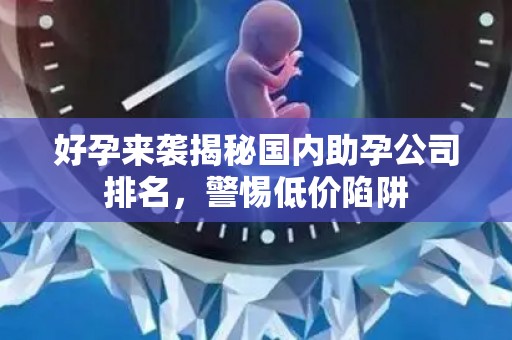 好孕来袭揭秘国内助孕公司排名，警惕低价陷阱