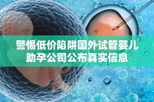 警惕低价陷阱国外试管婴儿助孕公司公布真实信息
