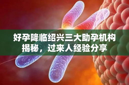 好孕降临绍兴三大助孕机构揭秘，过来人经验分享