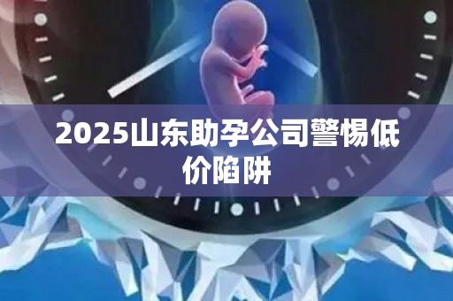 2025山东助孕公司警惕低价陷阱