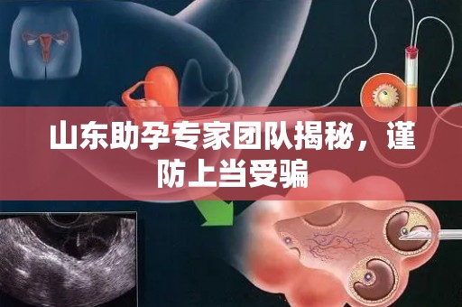 山东助孕专家团队揭秘，谨防上当受骗