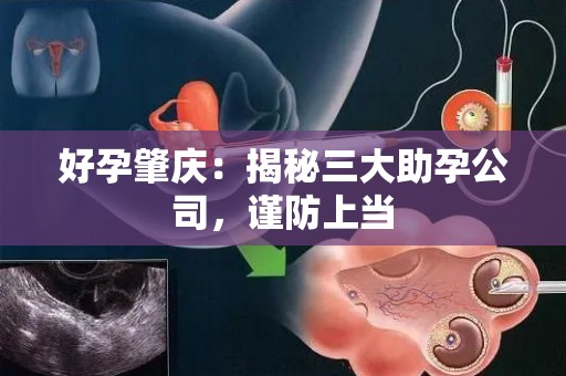 好孕肇庆：揭秘三大助孕公司，谨防上当