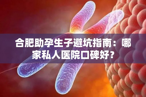 合肥助孕生子避坑指南：哪家私人医院口碑好？
