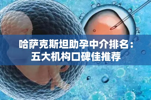 哈萨克斯坦助孕中介排名：五大机构口碑佳推荐