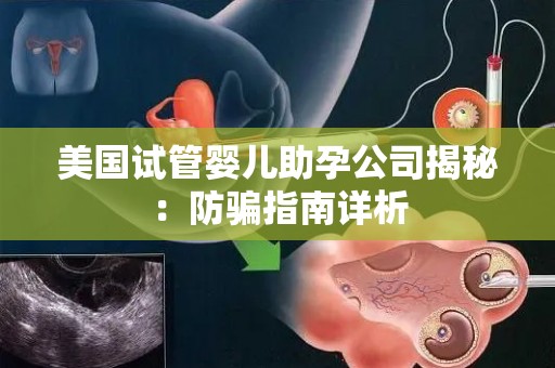 美国试管婴儿助孕公司揭秘：防骗指南详析