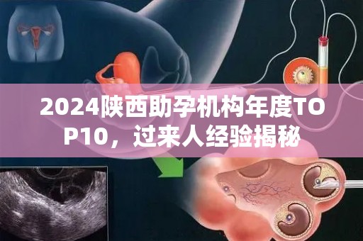 2024陕西助孕机构年度TOP10，过来人经验揭秘