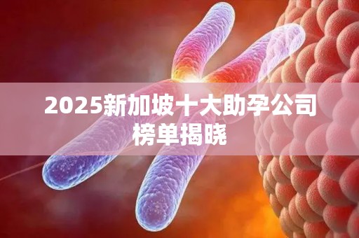 2025新加坡十大助孕公司榜单揭晓