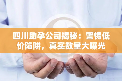 四川助孕公司揭秘：警惕低价陷阱，真实数量大曝光