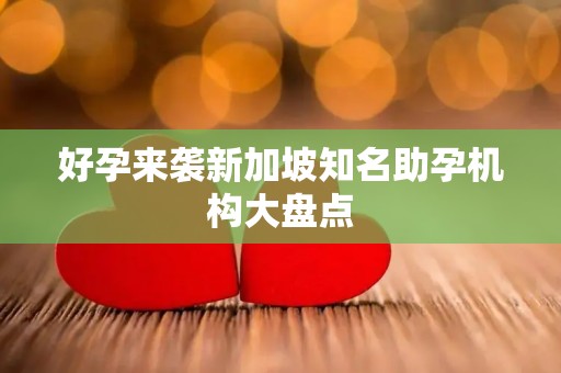 好孕来袭新加坡知名助孕机构大盘点