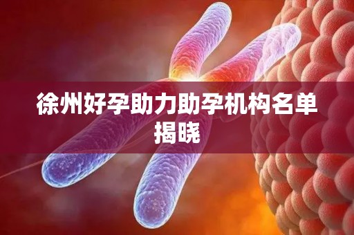 徐州好孕助力助孕机构名单揭晓