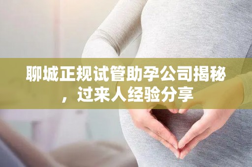 聊城正规试管助孕公司揭秘，过来人经验分享