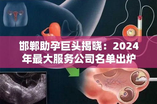 邯郸助孕巨头揭晓：2024年最大服务公司名单出炉