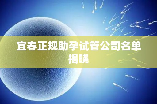 宜春正规助孕试管公司名单揭晓