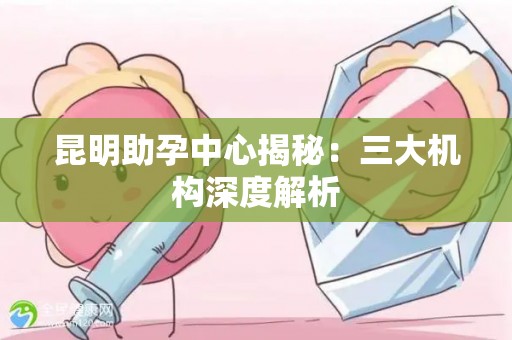 昆明助孕中心揭秘：三大机构深度解析