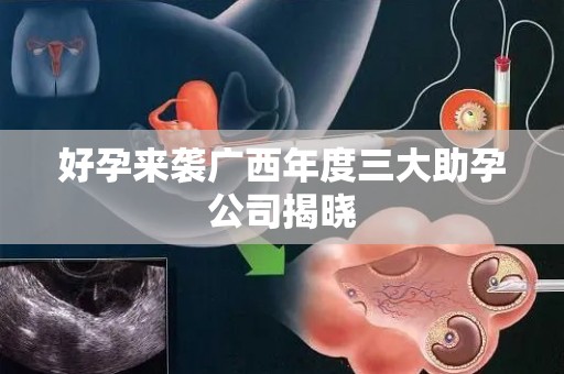 好孕来袭广西年度三大助孕公司揭晓