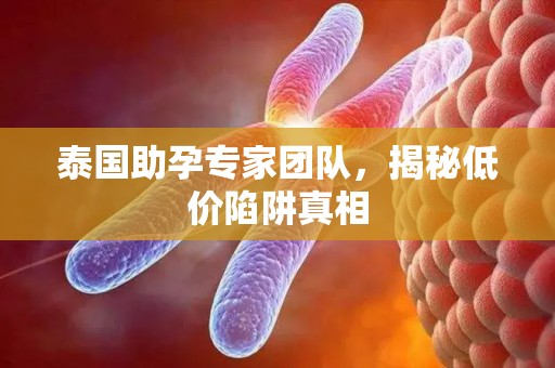 泰国助孕专家团队，揭秘低价陷阱真相