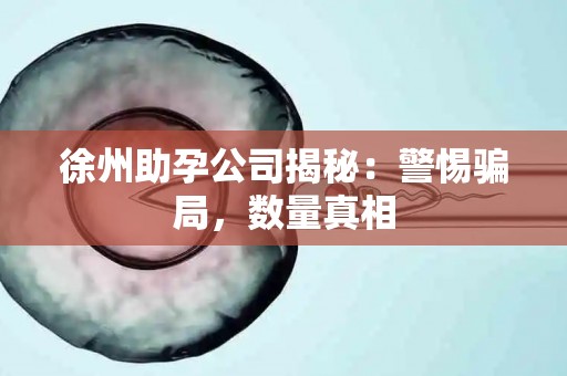 徐州助孕公司揭秘：警惕骗局，数量真相