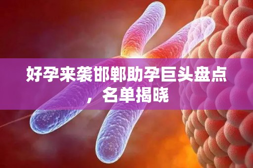好孕来袭邯郸助孕巨头盘点，名单揭晓
