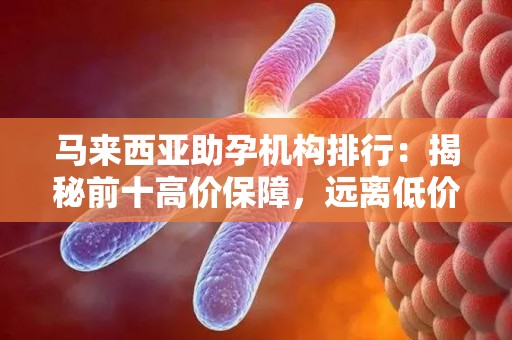 马来西亚助孕机构排行：揭秘前十高价保障，远离低价陷阱