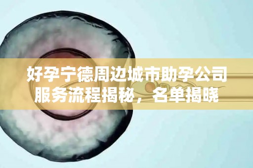 好孕宁德周边城市助孕公司服务流程揭秘，名单揭晓