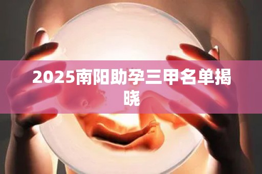 2025南阳助孕三甲名单揭晓