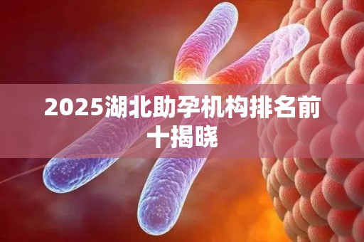 2025湖北助孕机构排名前十揭晓
