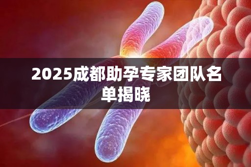 2025成都助孕专家团队名单揭晓