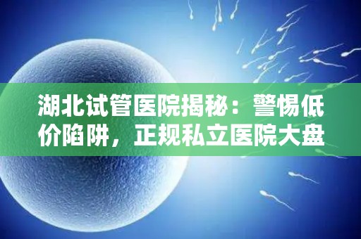 湖北试管医院揭秘：警惕低价陷阱，正规私立医院大盘点