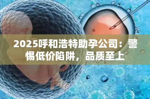 2025呼和浩特助孕公司：警惕低价陷阱，品质至上