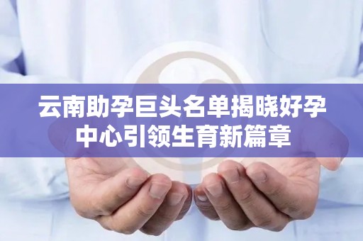 云南助孕巨头名单揭晓好孕中心引领生育新篇章