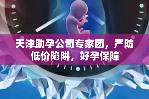 天津助孕公司专家团，严防低价陷阱，好孕保障