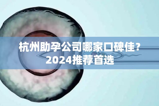 杭州助孕公司哪家口碑佳？2024推荐首选