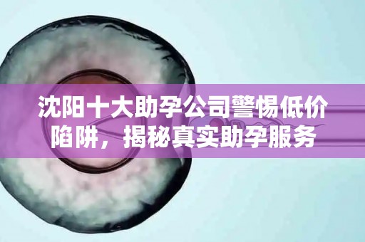沈阳十大助孕公司警惕低价陷阱，揭秘真实助孕服务