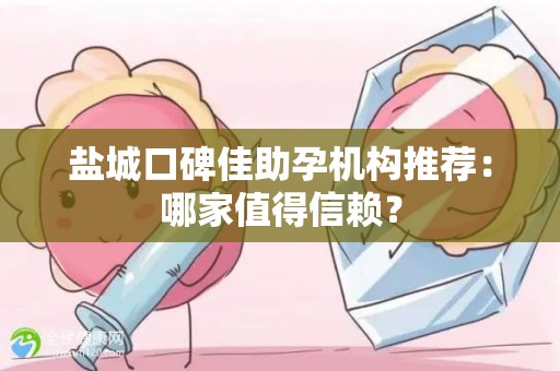 盐城口碑佳助孕机构推荐：哪家值得信赖？