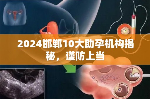2024邯郸10大助孕机构揭秘，谨防上当