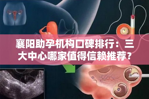 襄阳助孕机构口碑排行：三大中心哪家值得信赖推荐？