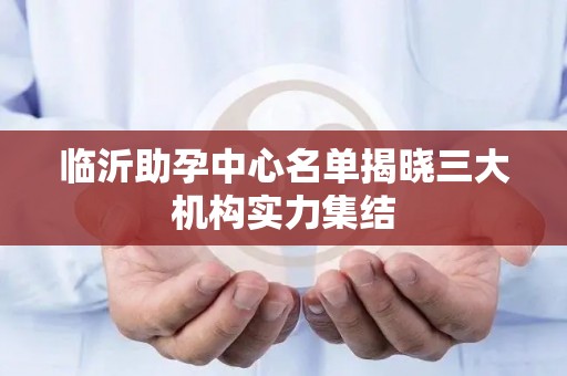 临沂助孕中心名单揭晓三大机构实力集结
