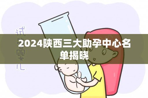 2024陕西三大助孕中心名单揭晓